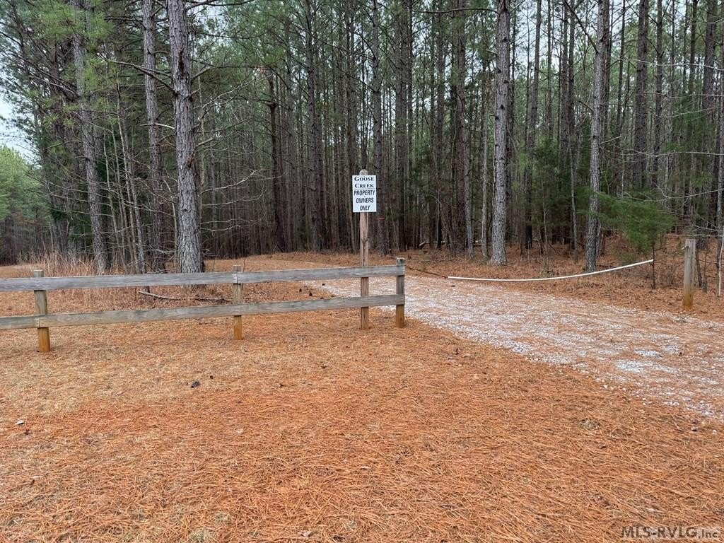 Picture 29