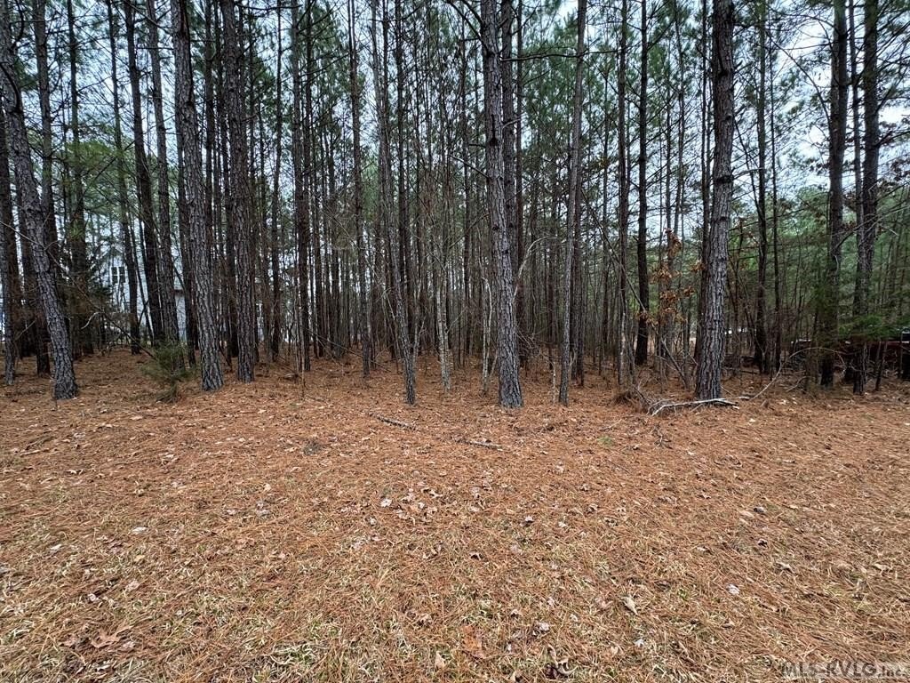 Picture 24
