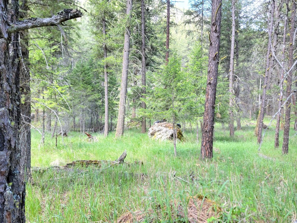 Picture 4