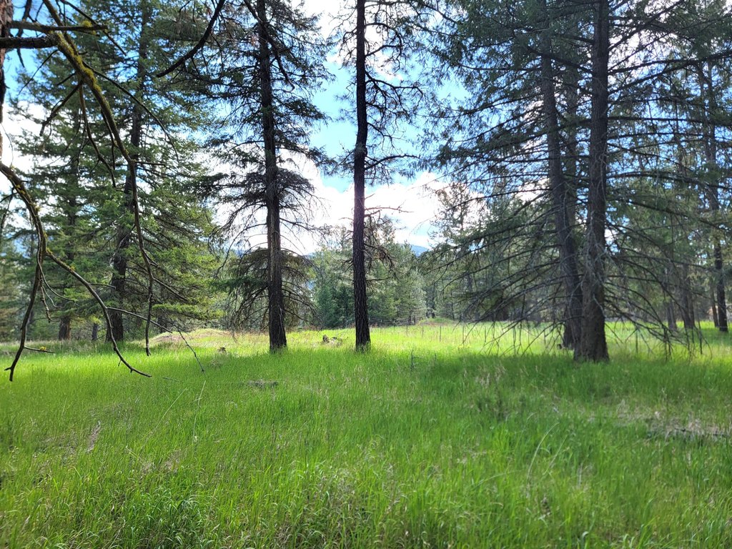 Picture 8