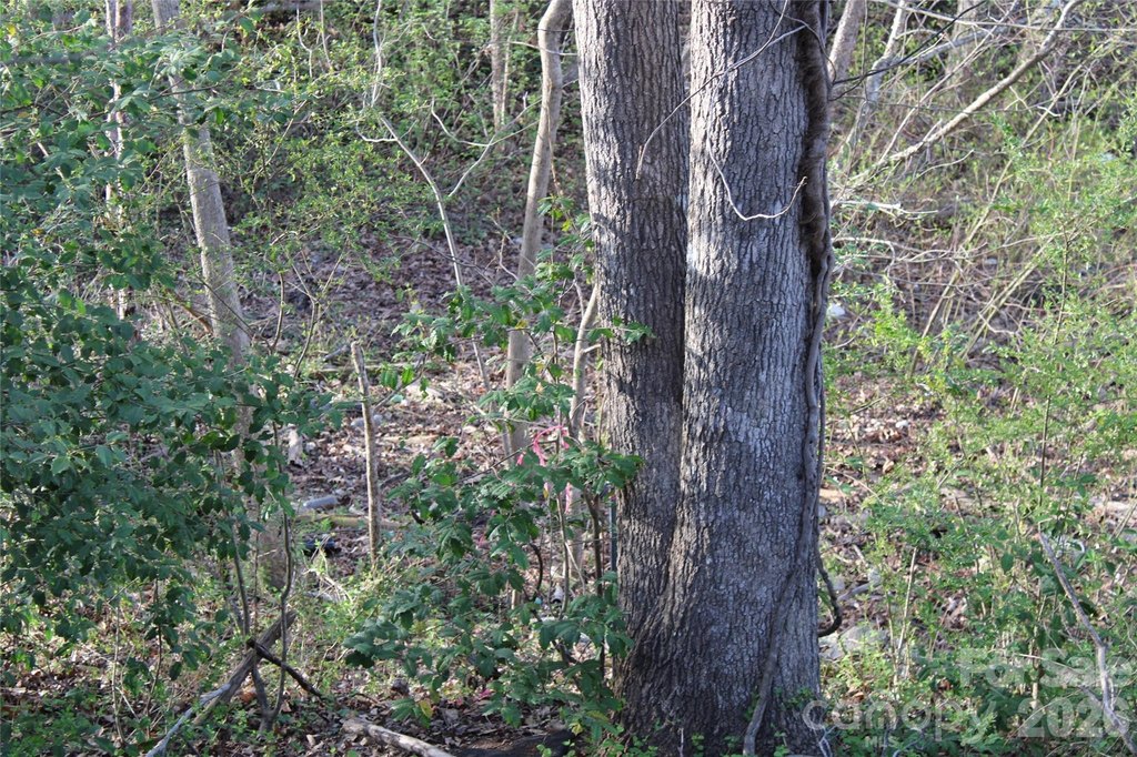 Picture 35