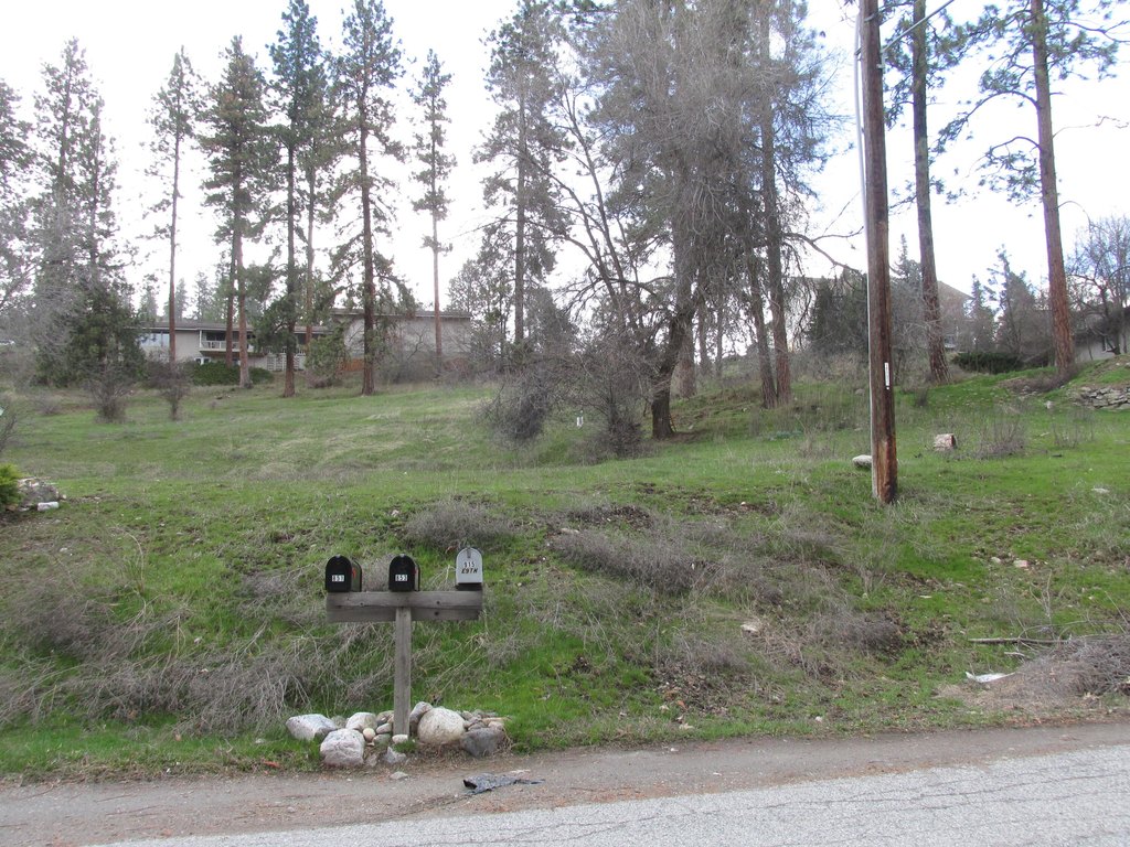 Picture 5