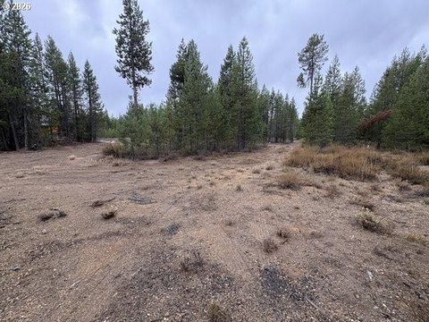 Land, CrescentLake, OR