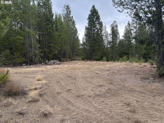 Picture 3