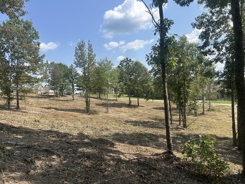 Residential Land in Stonegate Subdivision