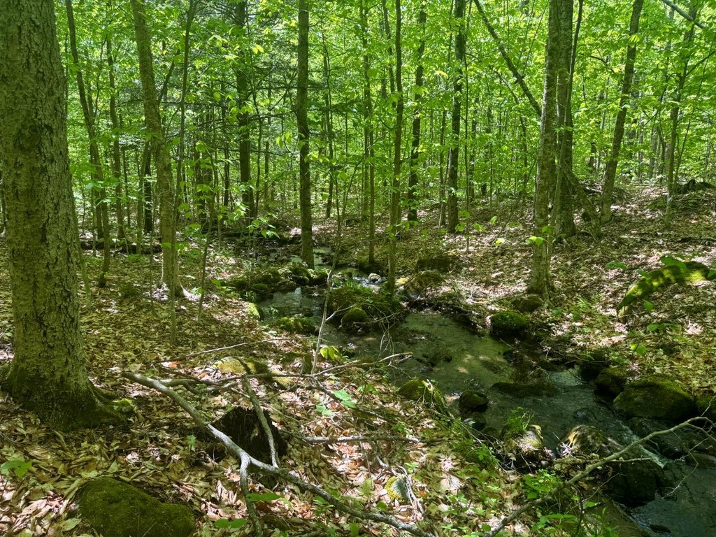 Picture 8