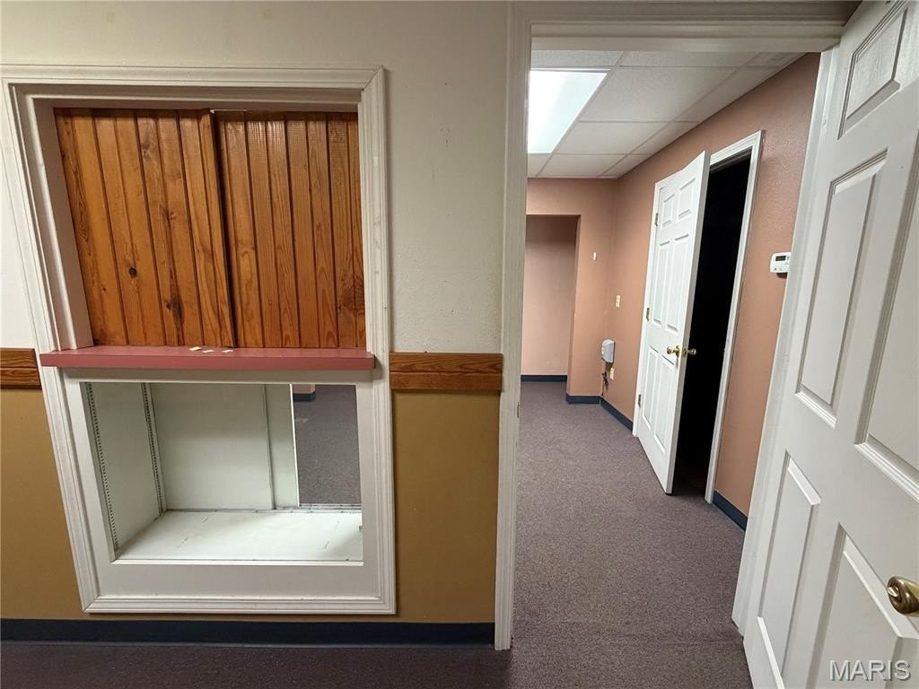 Picture 25
