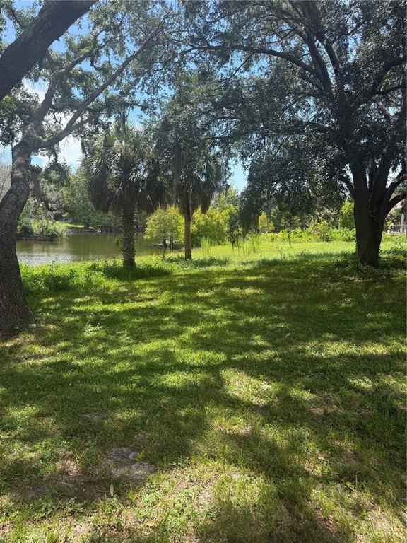 Picture 3