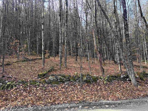 Wooded Residential Building Lot