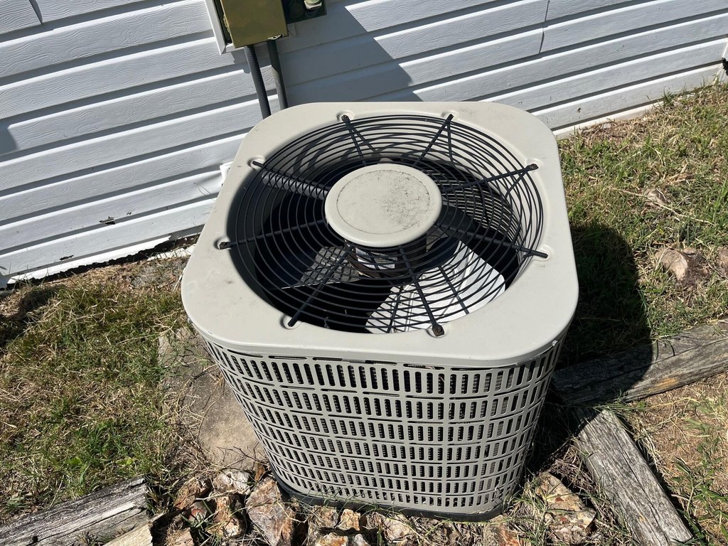 Picture 16
