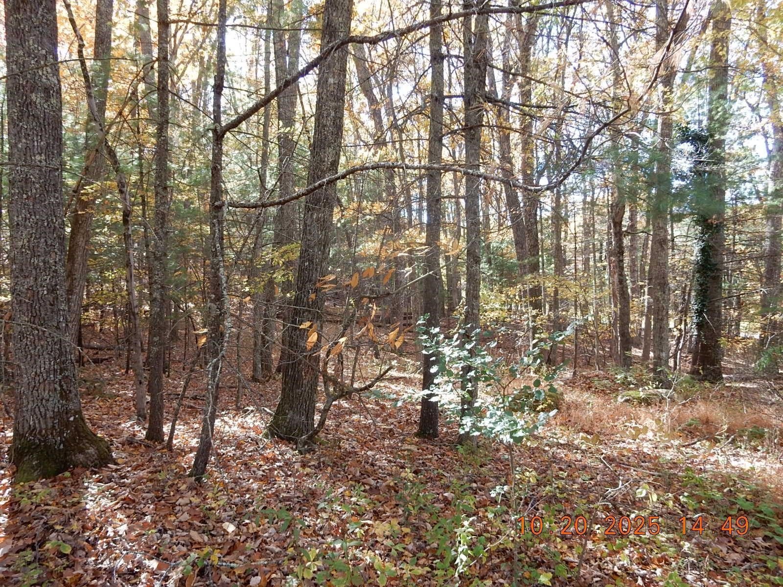 Land Near Homestead Amenities