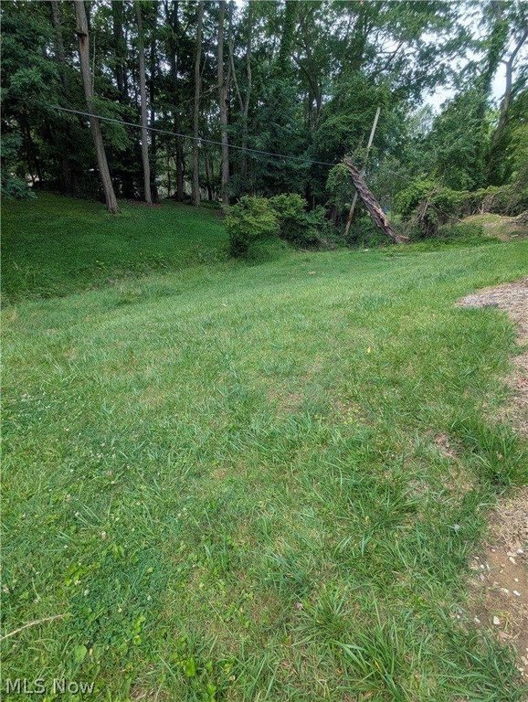 Picture 9