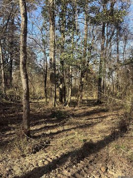 Residential Land in Denham Springs