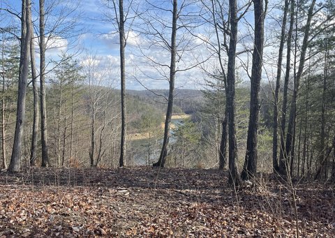 Land, Monticello, KY