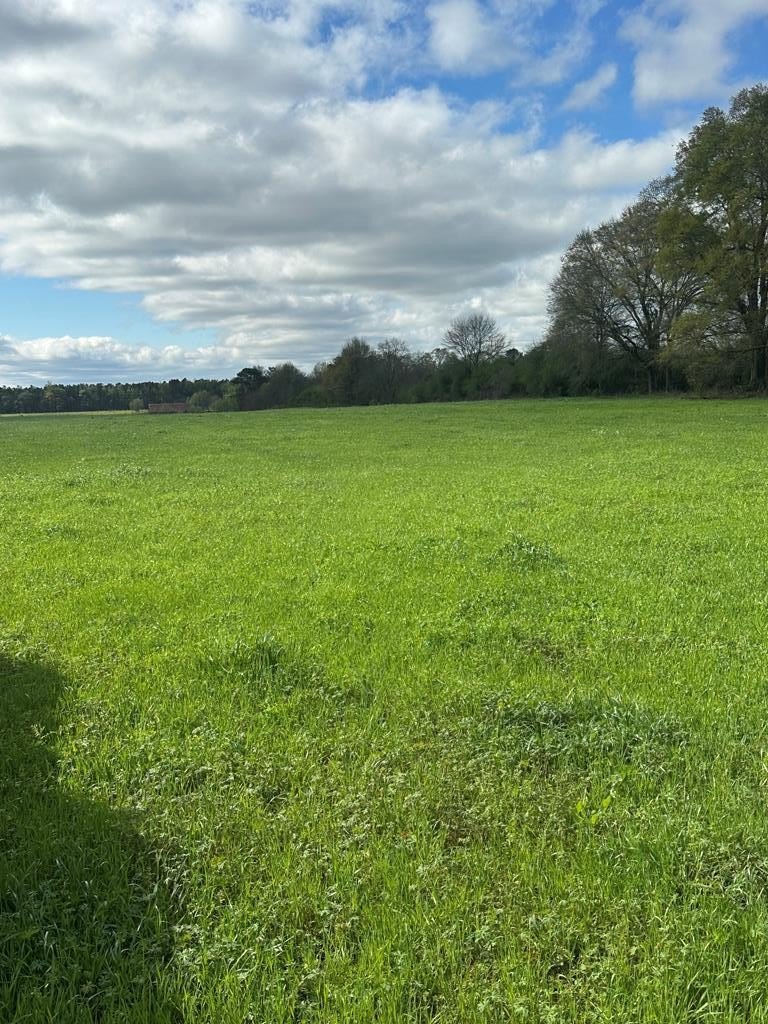 27 Acres of Pasture Land