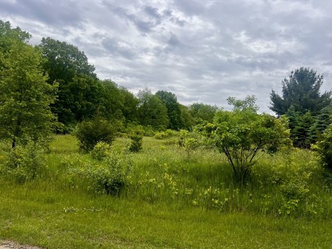 Residential Land Near 80-Acre Lake