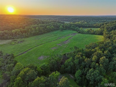 Agricultural Hunting Land Tract