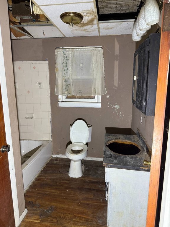 Picture 20