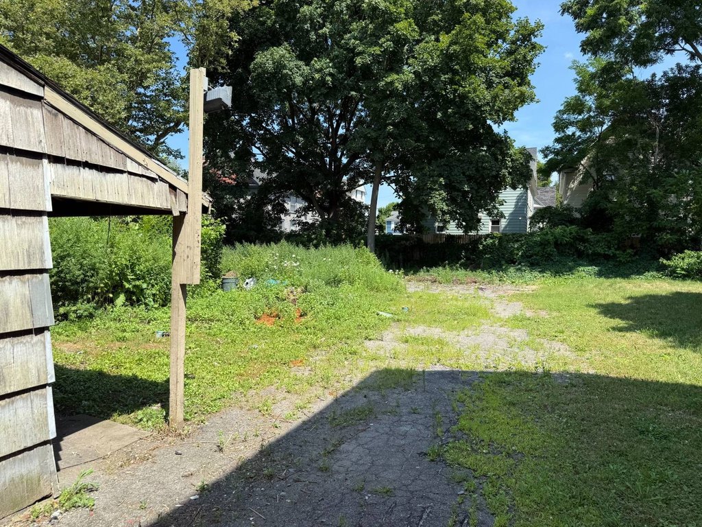 Picture 4