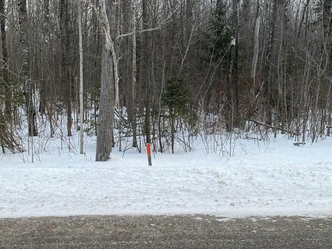 Land Near Mackinac Island Ferries