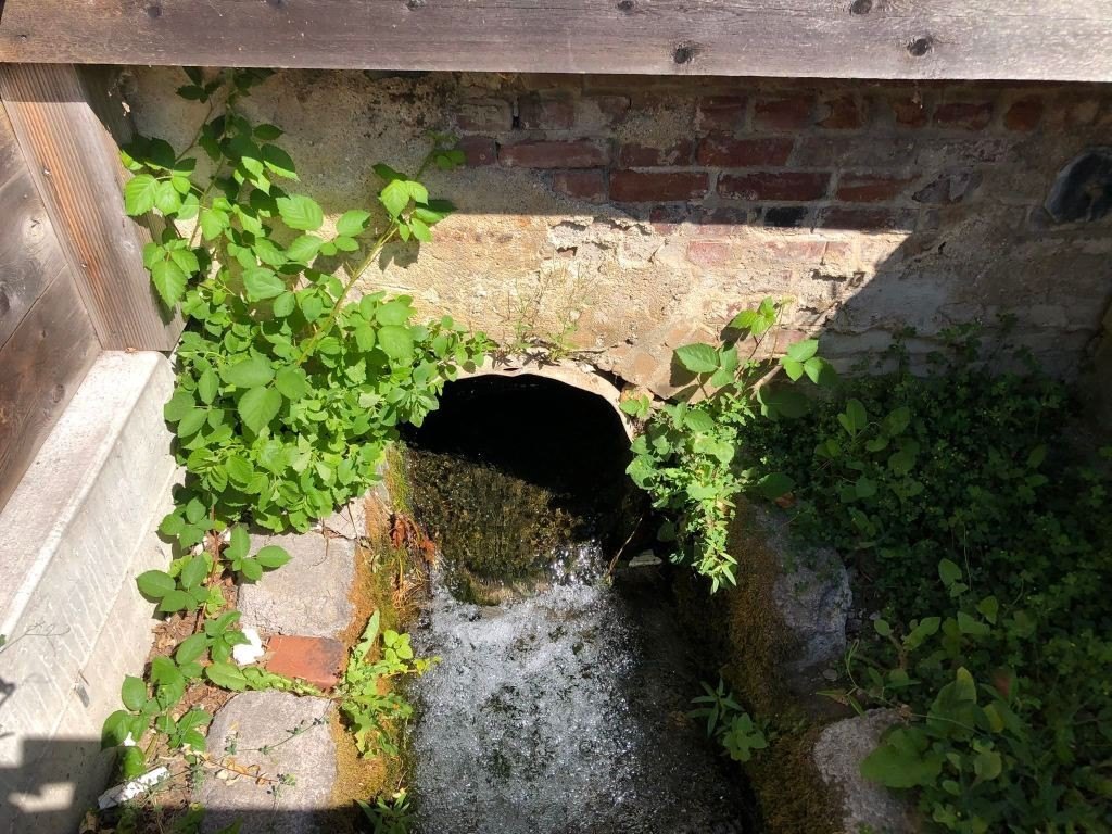 Picture 19