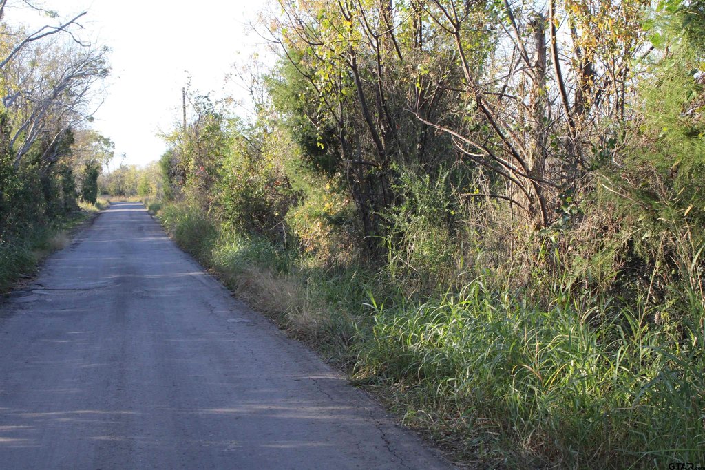 Picture 14