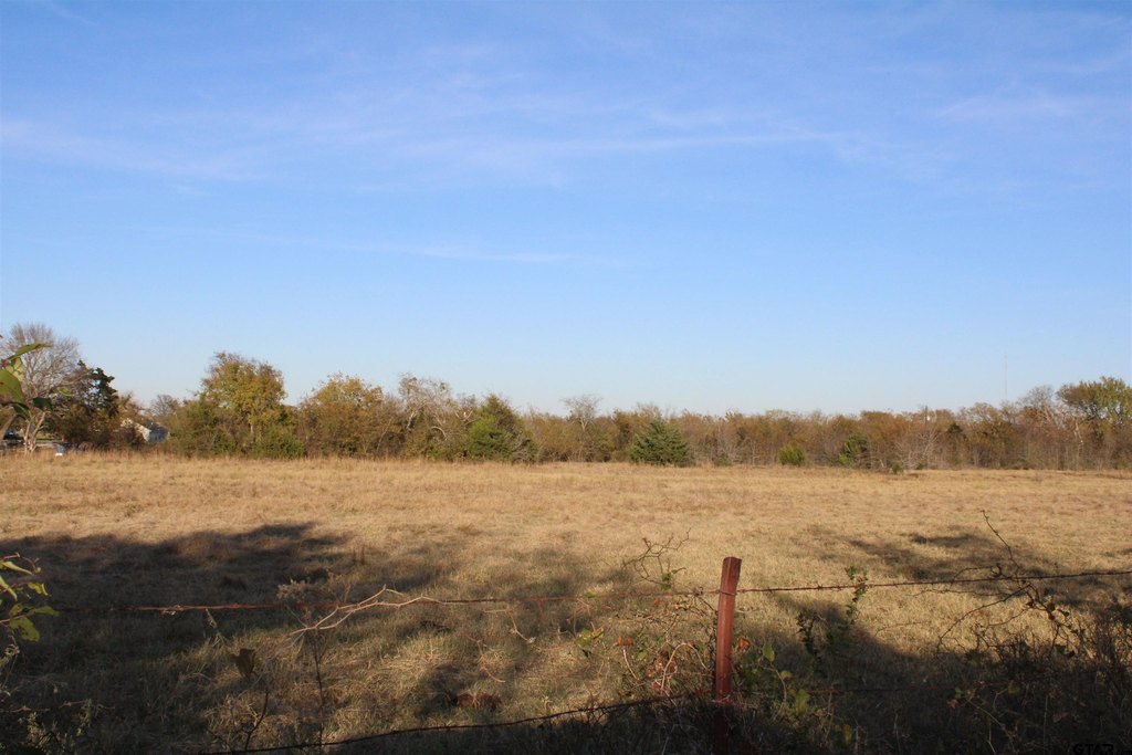 Picture 8