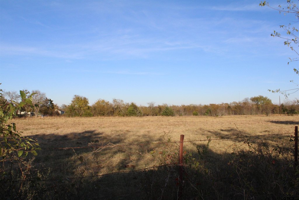 Picture 7