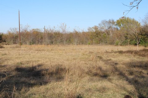 Recreational Homesite Land Tract
