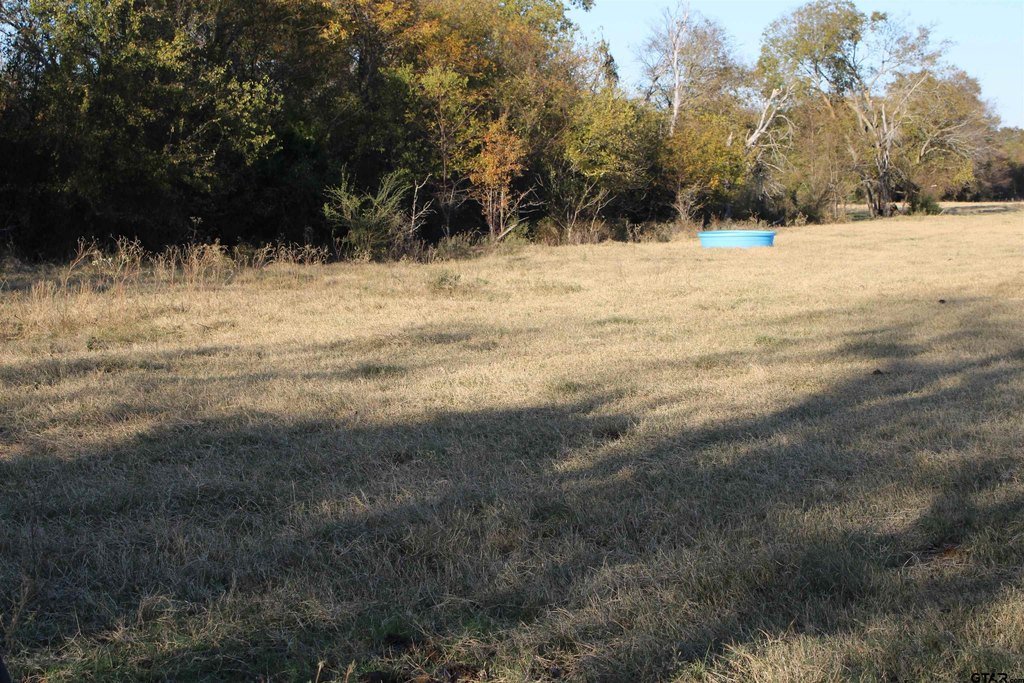 Picture 11