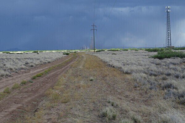 Picture 2