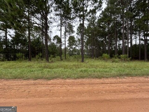 Land, Metter, GA