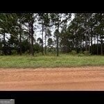 Land, Metter, GA