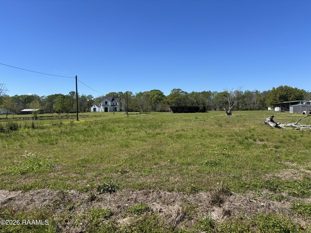 Picture 19