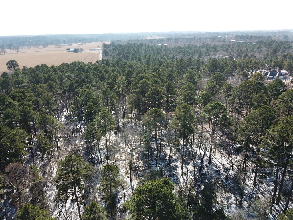 Picture 14