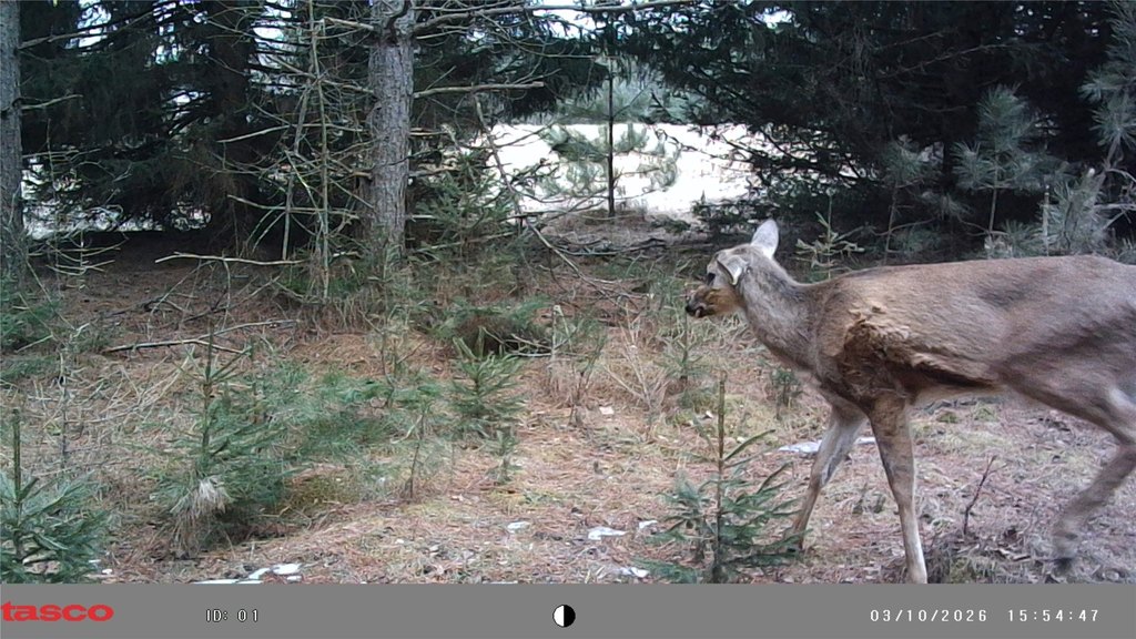 Picture 11