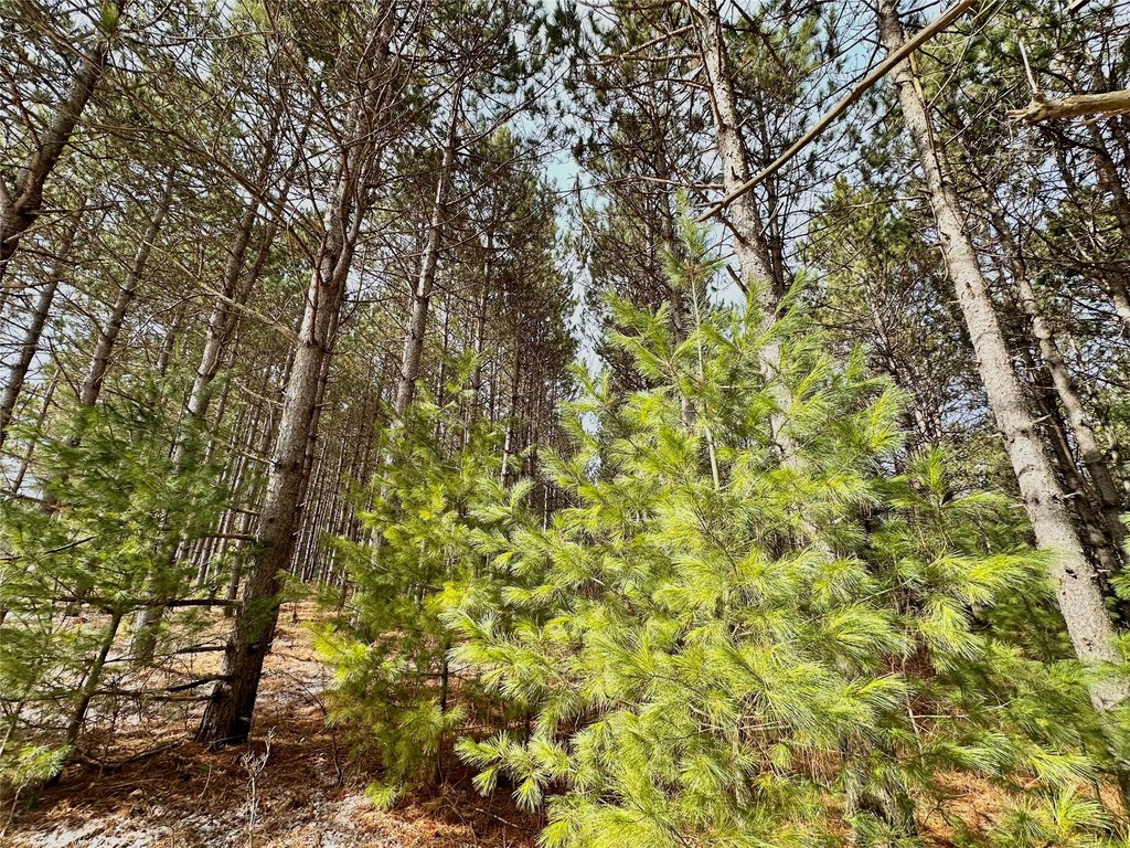 Picture 22