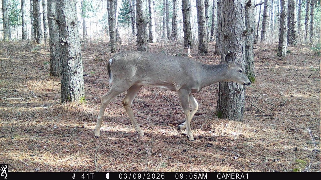 Picture 32
