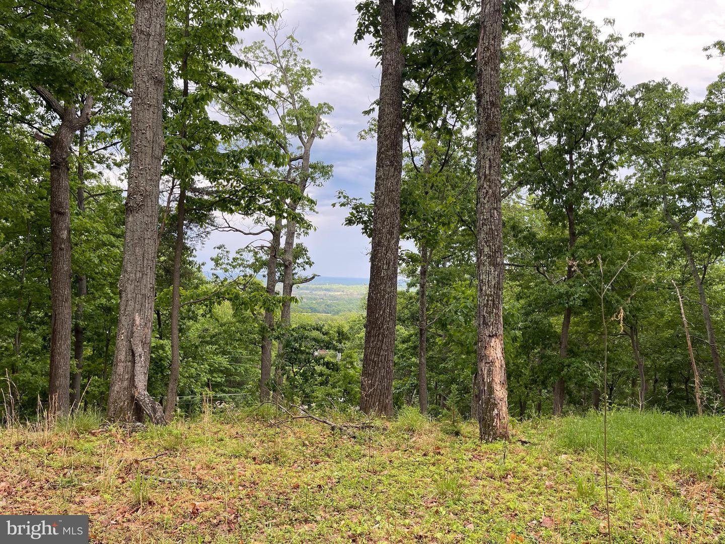 Spacious Corner Lot Opportunity