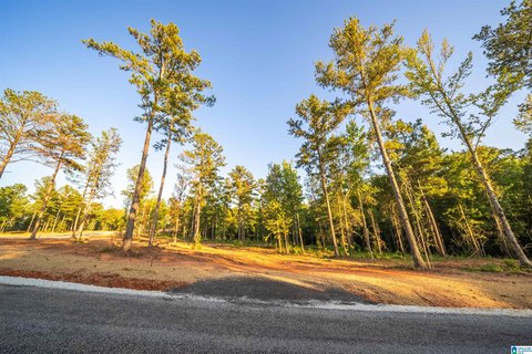 LAND/LOTS, WEDOWEE, AL