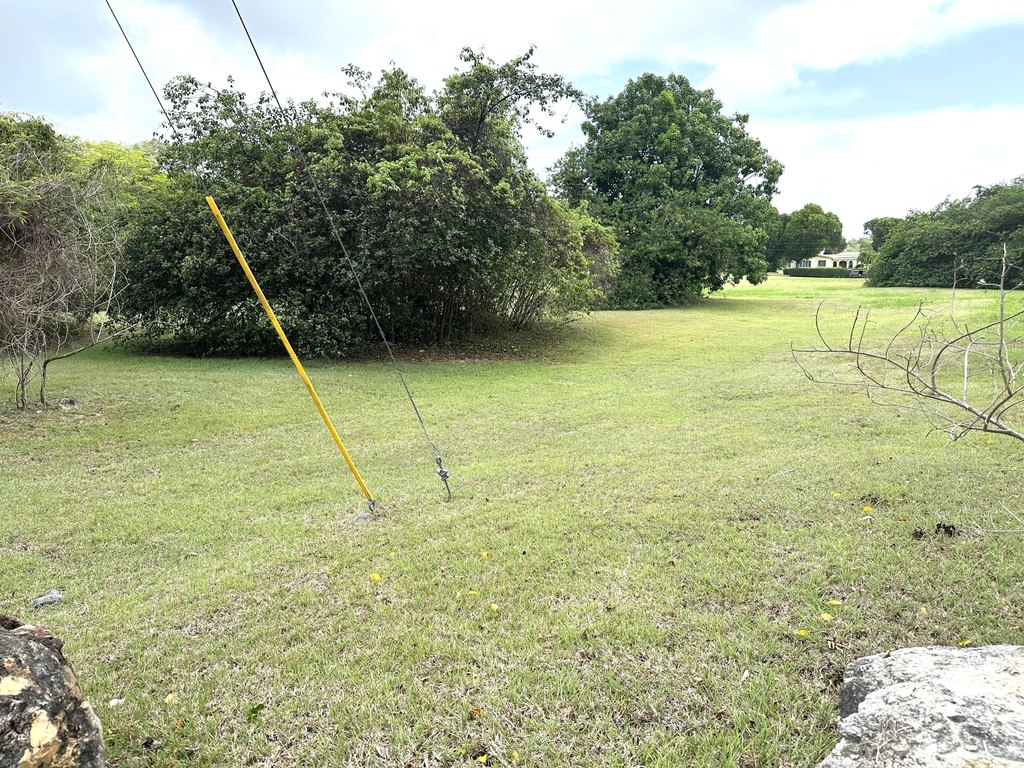 Picture 12