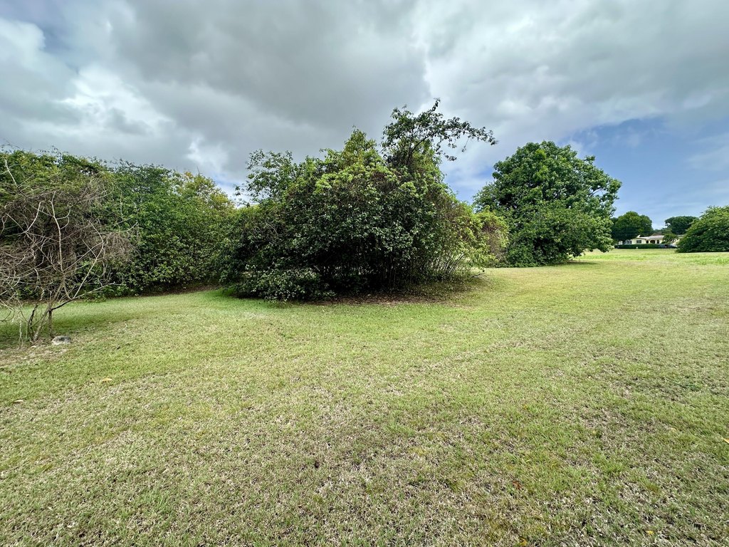 Picture 13