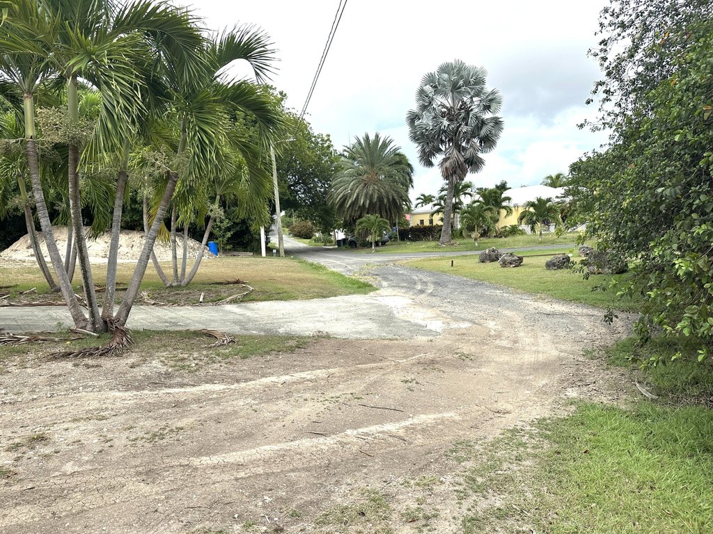 Picture 11