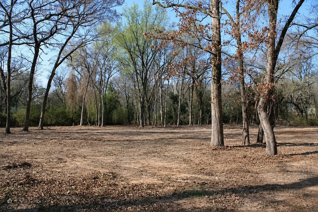Picture 4
