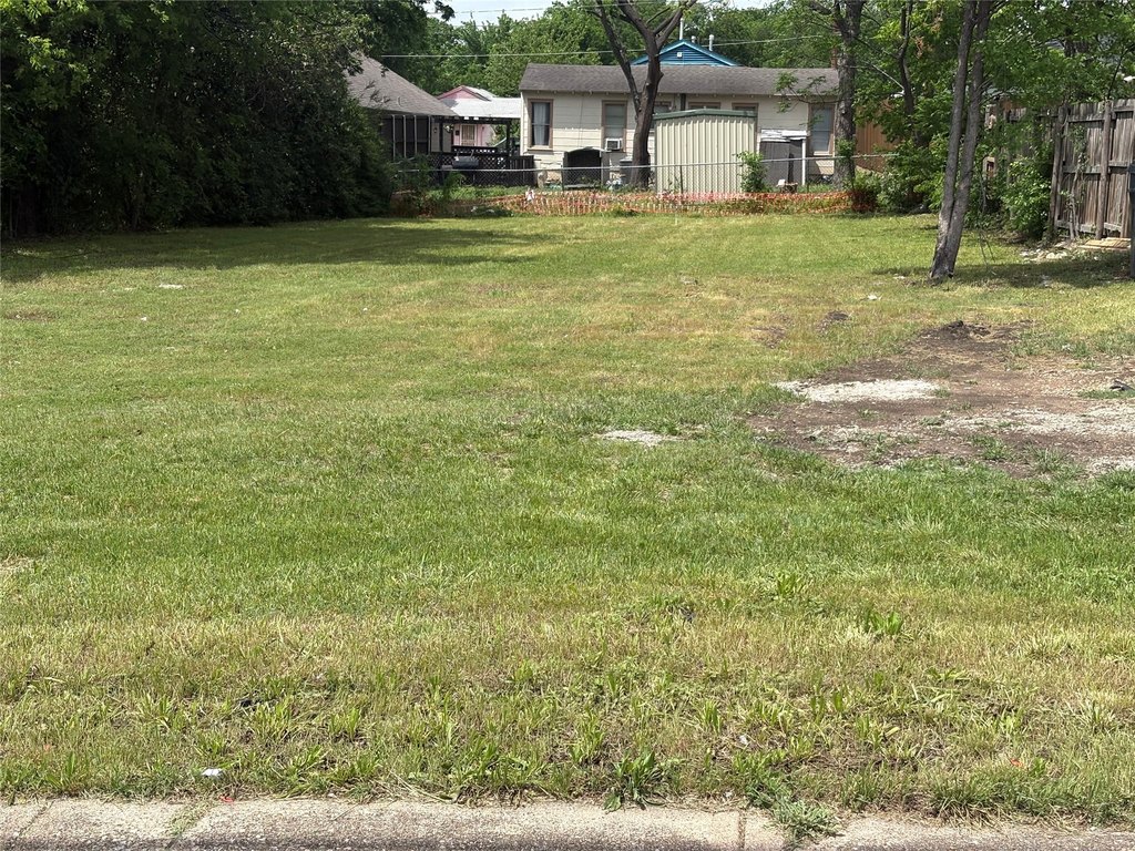 Picture 5