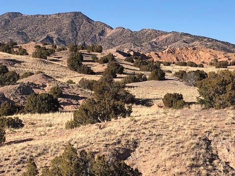 LAND - Medanales, NM