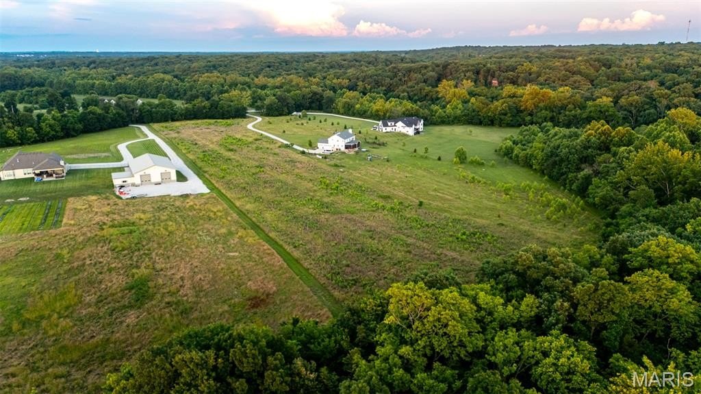 Picture 22
