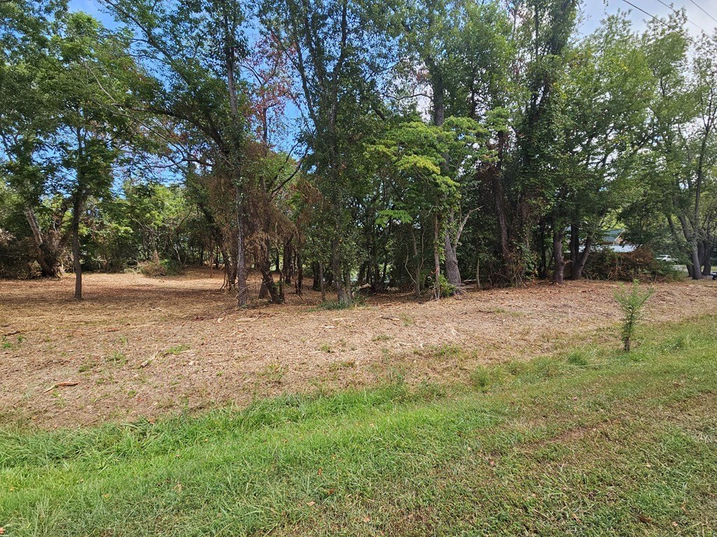 Picture 11
