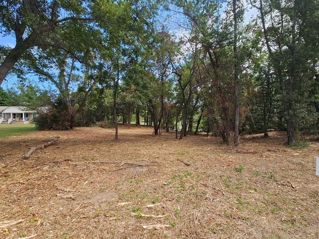 Picture 13