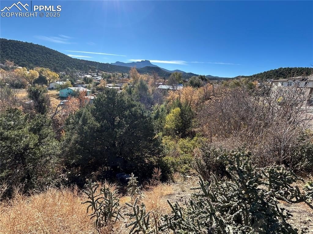 Trinidad, CO Buildable Lot
